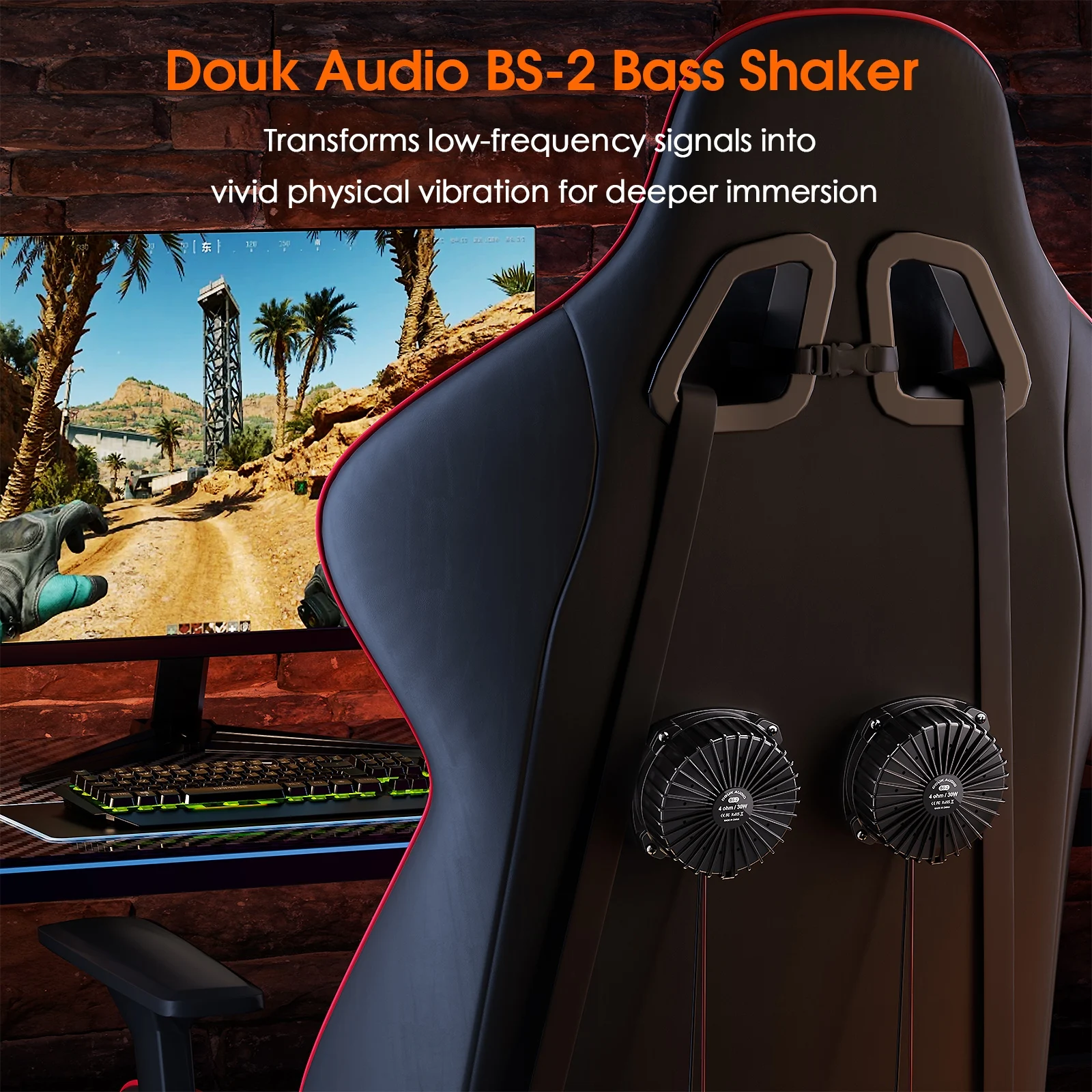 Douk Audio BS-2 30W 4Ω Bass-Sh – Home Cinema Chairs Bewertung und Preis